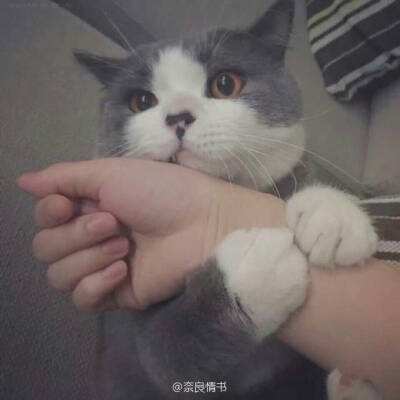 魔块电竞官方下载